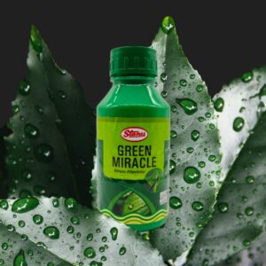 T. Stanes Green Miracle