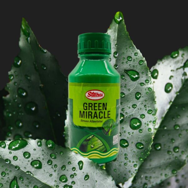 T. Stanes Green Miracle