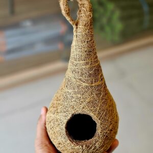 Bird's Nest
