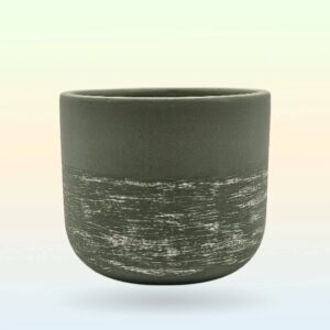 Terra-cotta 4 inch Designer pot - Leaf Green